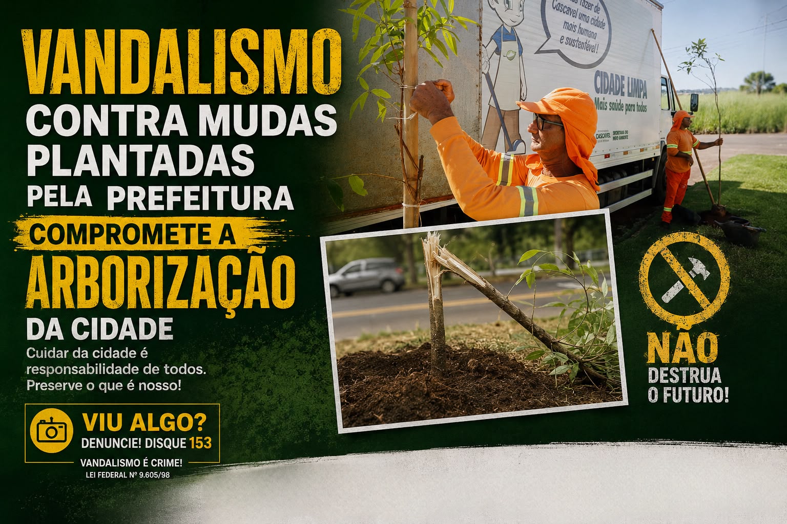 Vandalismo contra mudas plantadas pela Prefeitura compromete arborização da cidade